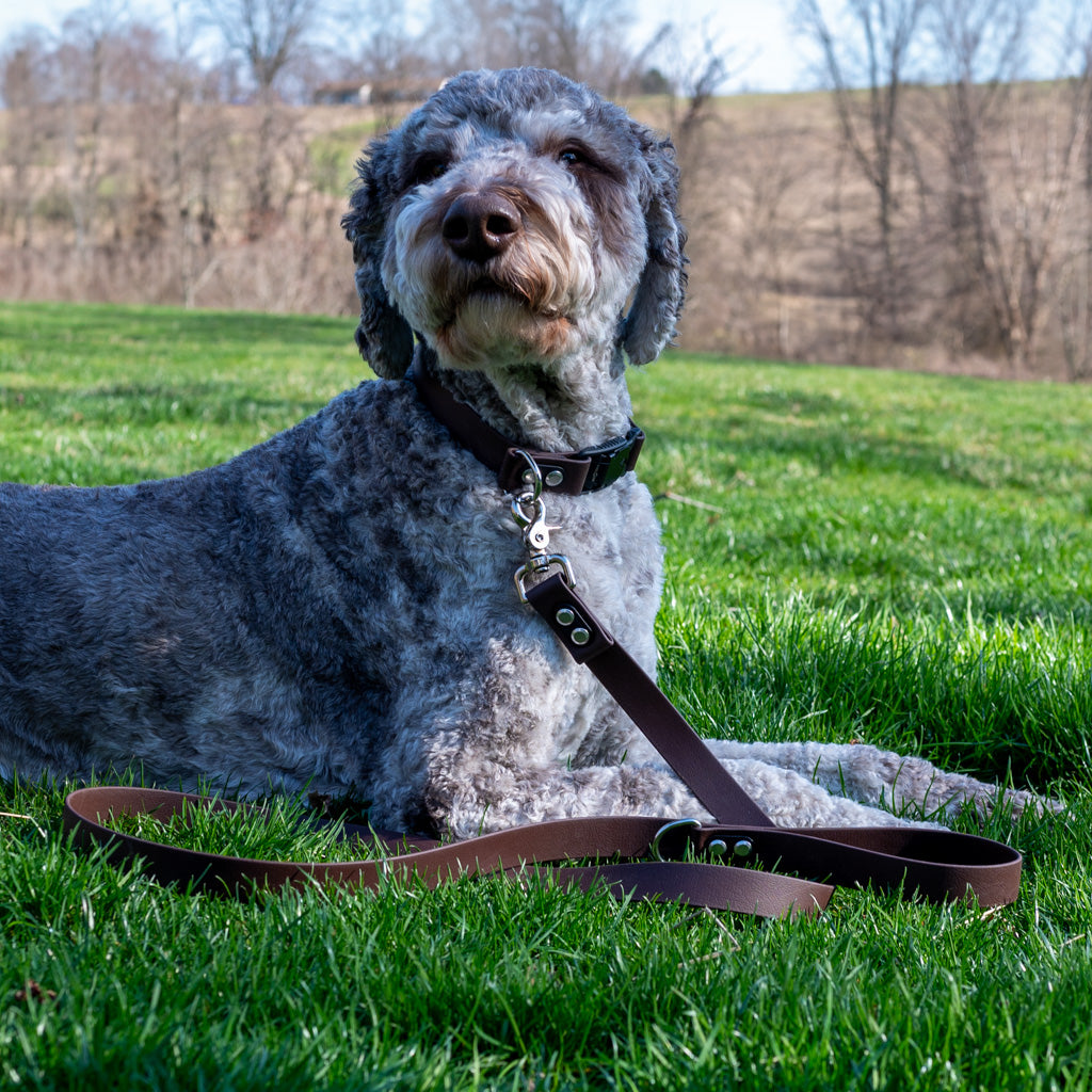 Brown Classic Leash