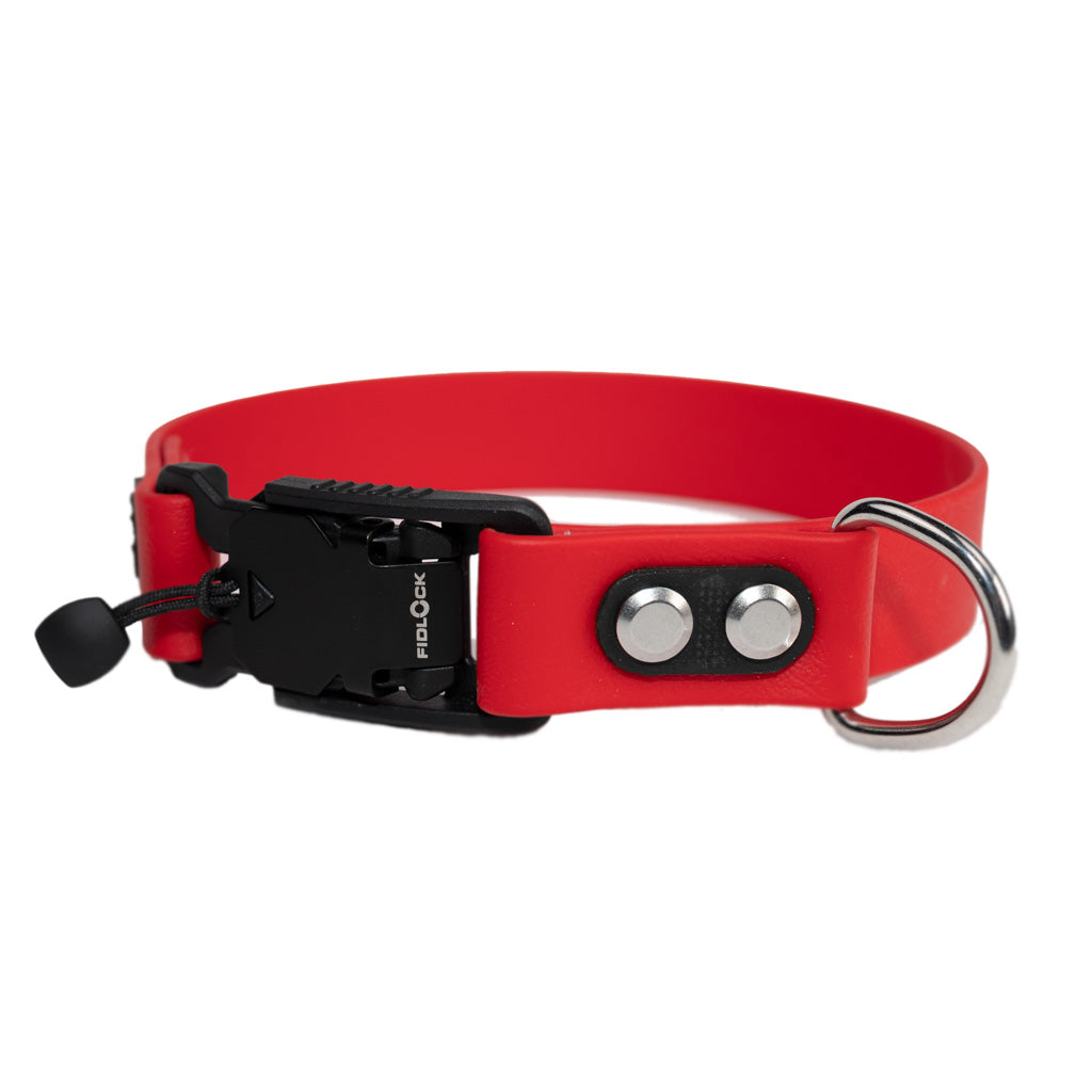 red collar with quick release buckle and silver hardware made by darn.dog