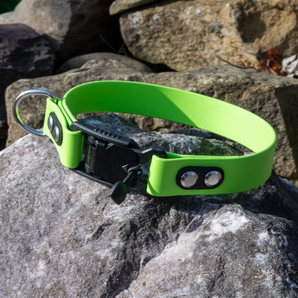 Lime Classic Collar