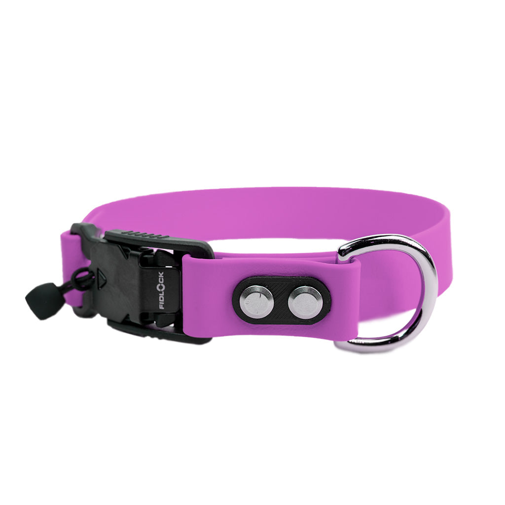 Orchid Classic Collar