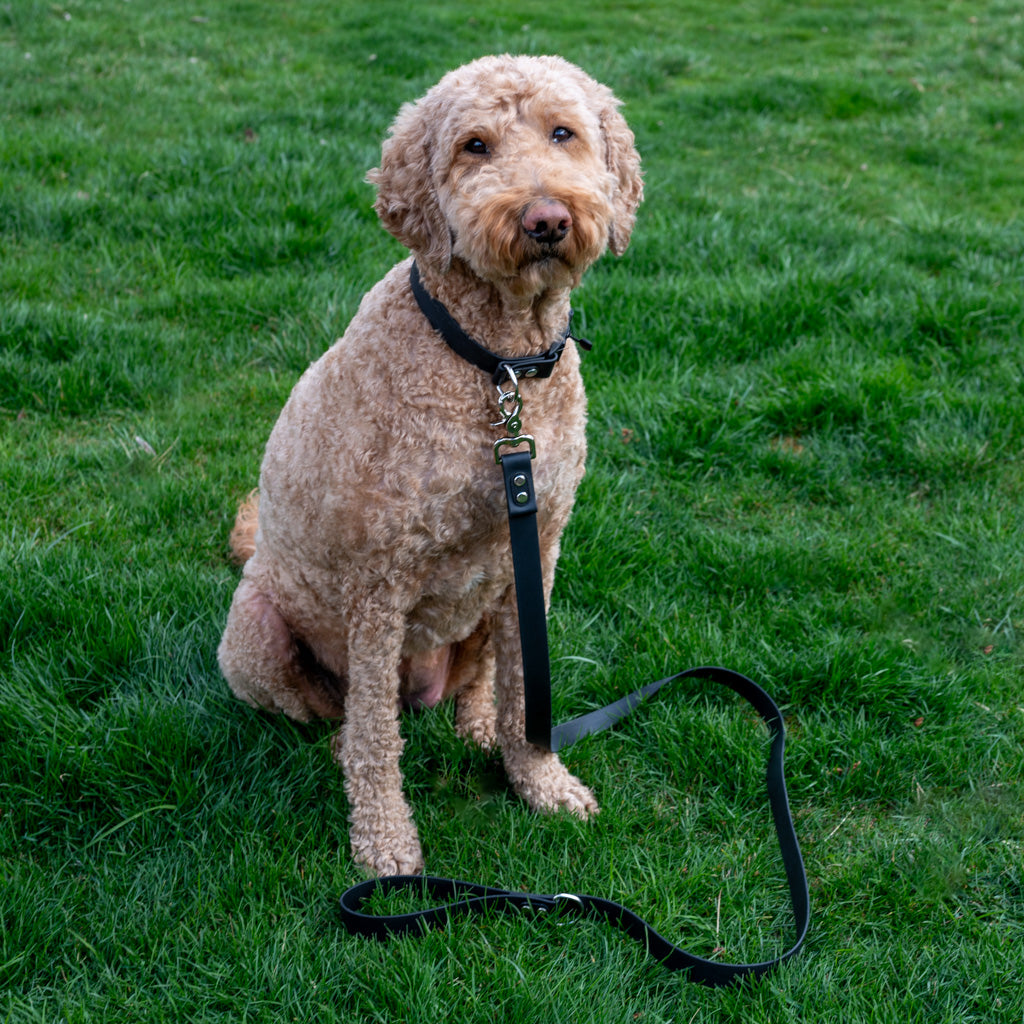 Black Classic Leash