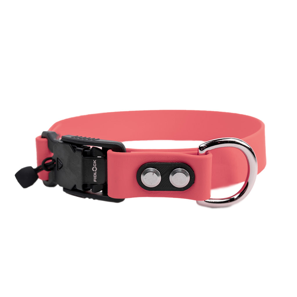Coral Classic Collar