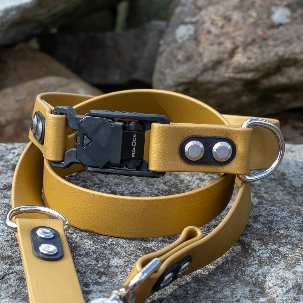 Gold Classic Collar