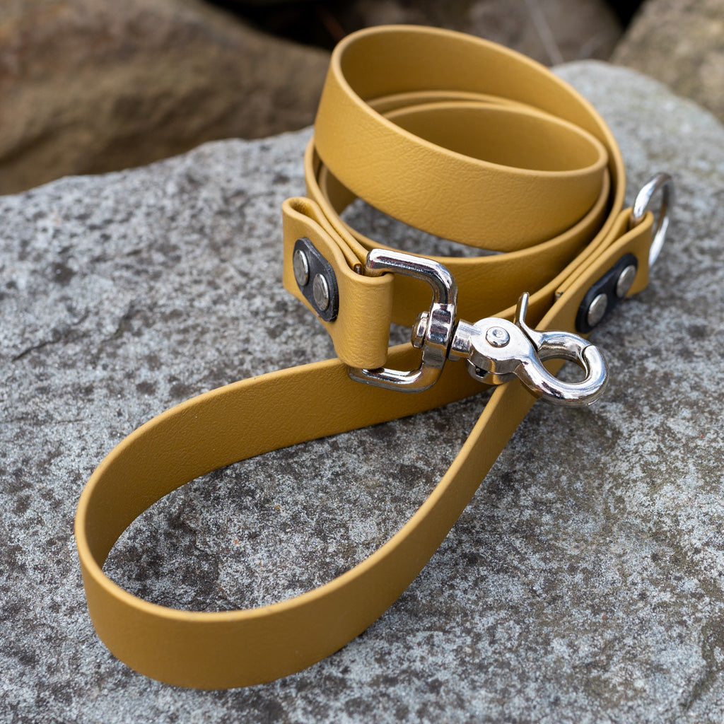 Gold Classic Leash