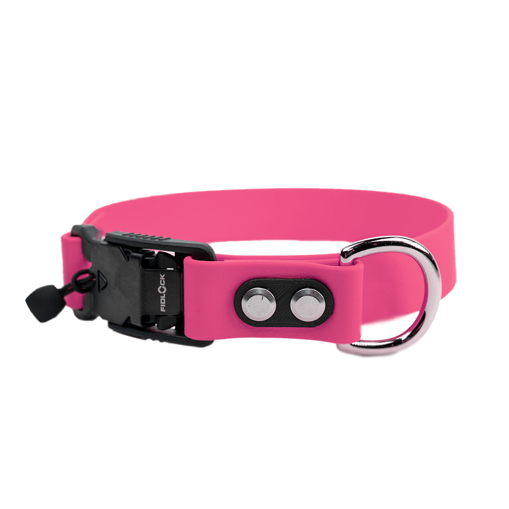 Magenta Classic Collar