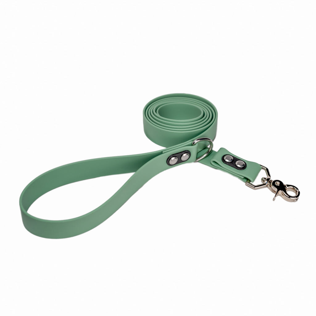 Mint Classic Leash