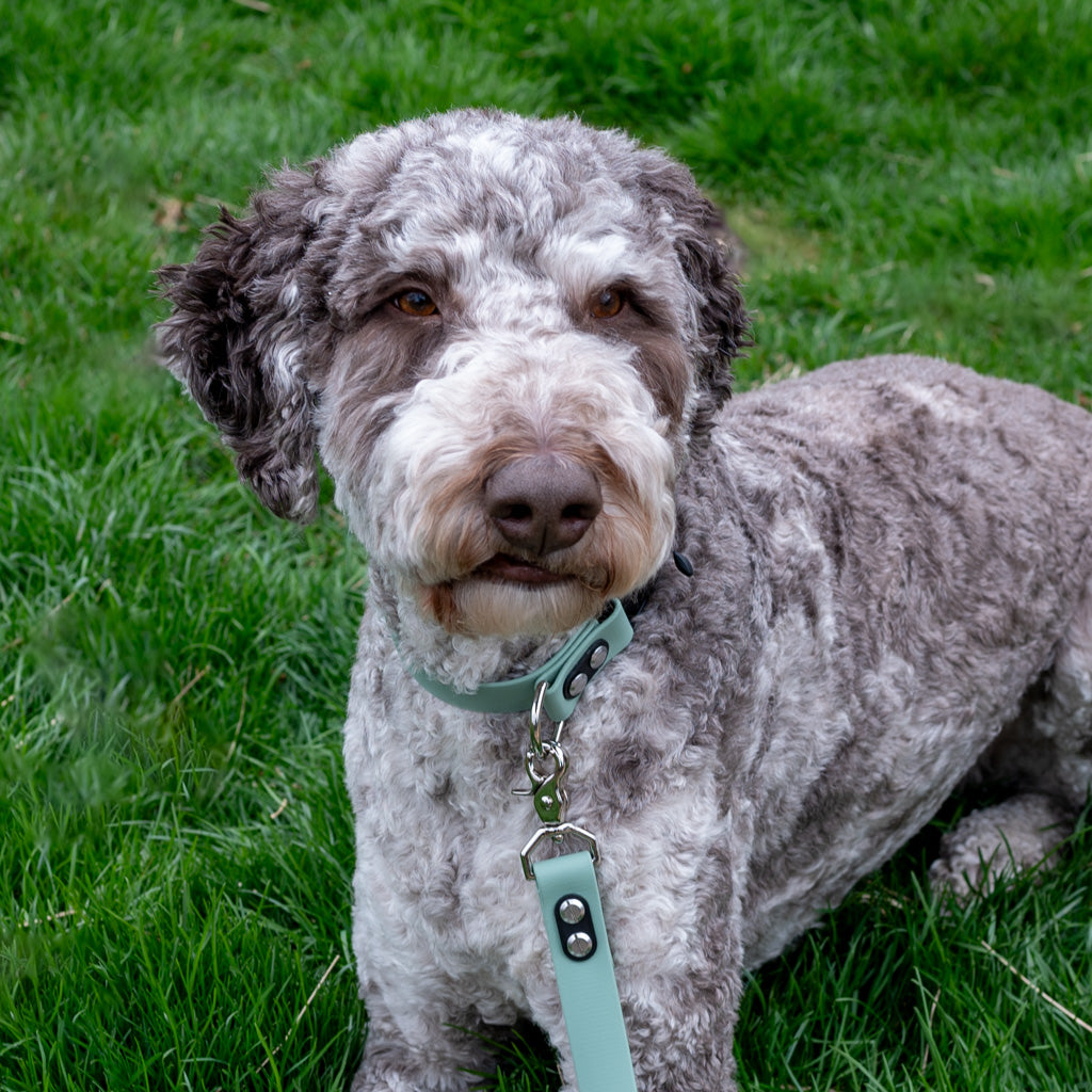 Mint Classic Leash