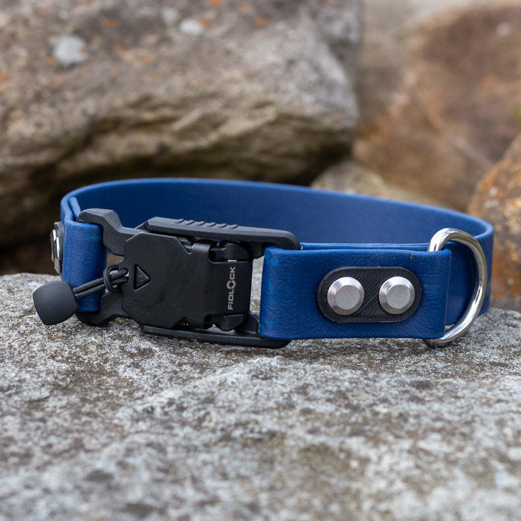 Navy Blue Classic Collar