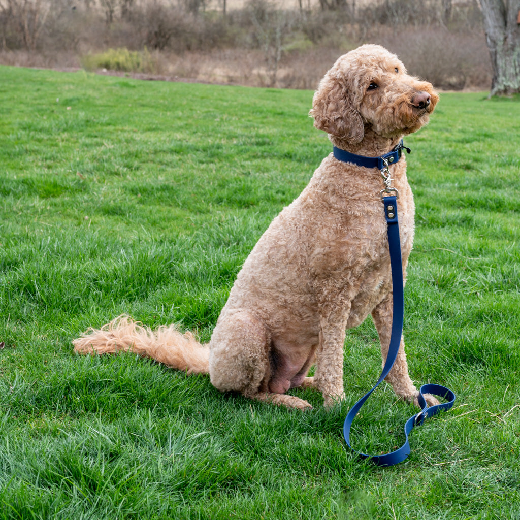 Navy Blue Classic Leash