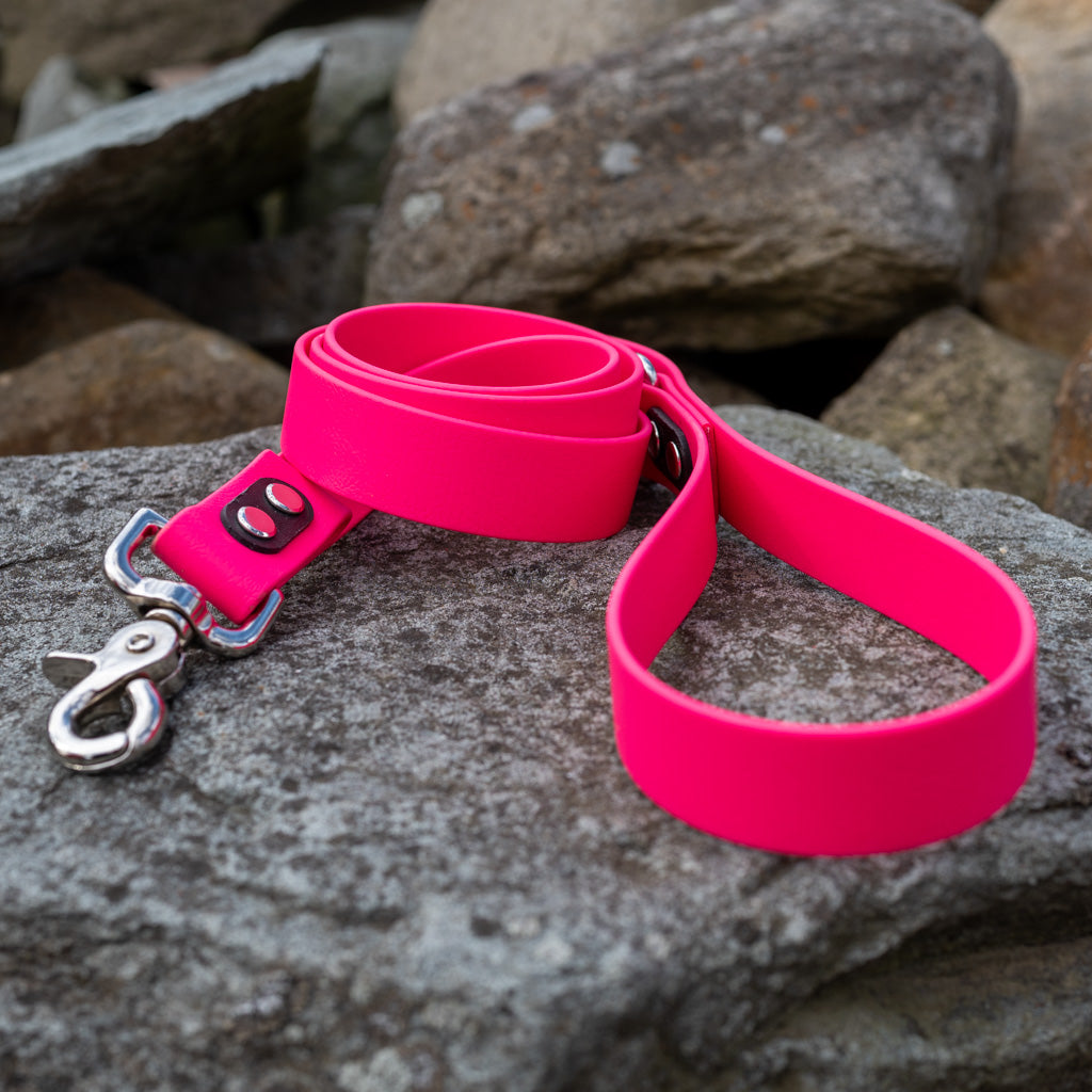 Pink Classic Leash