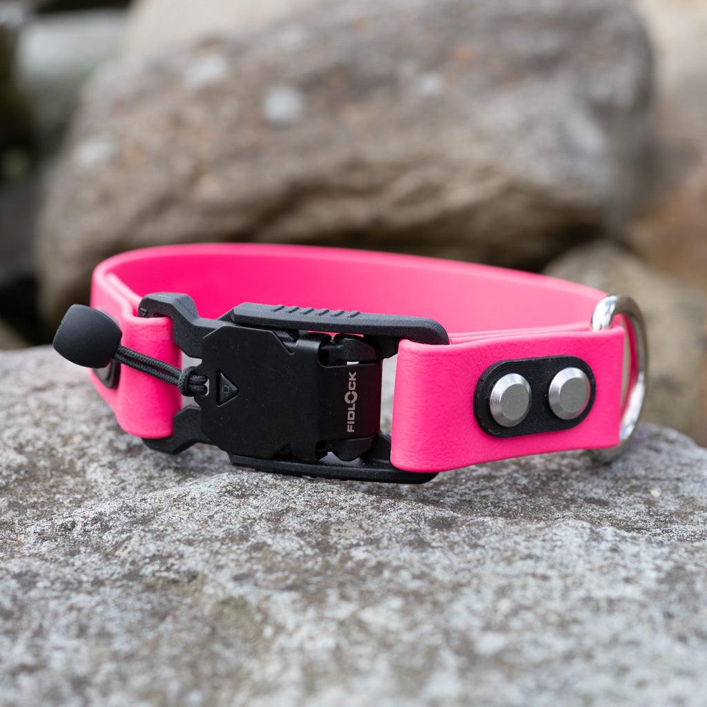 Pink Classic Collar