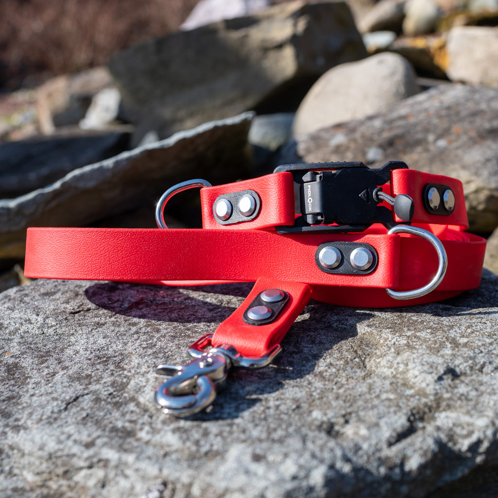 Red Classic Collar