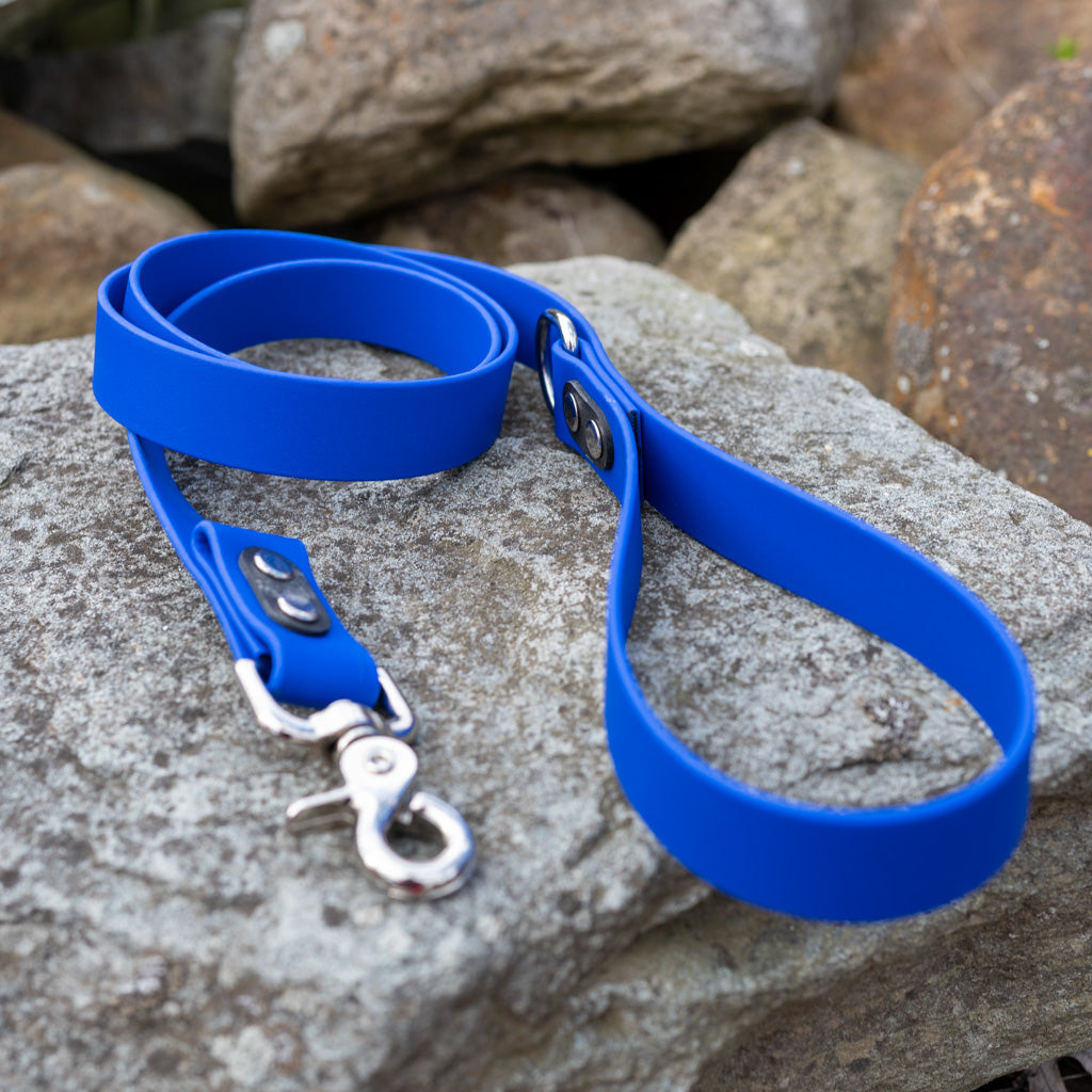 Royal Blue Classic Leash