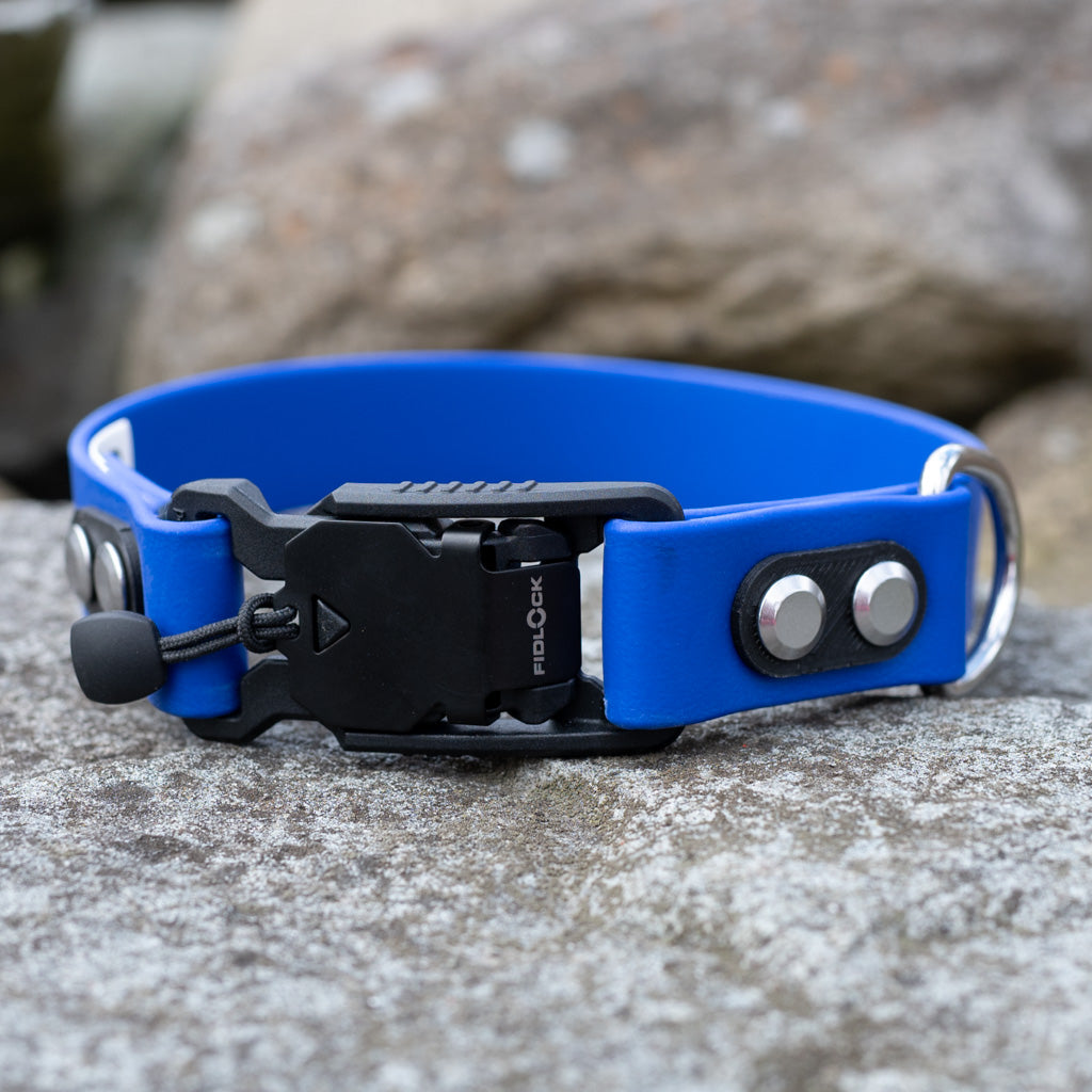 Royal Blue Classic Collar