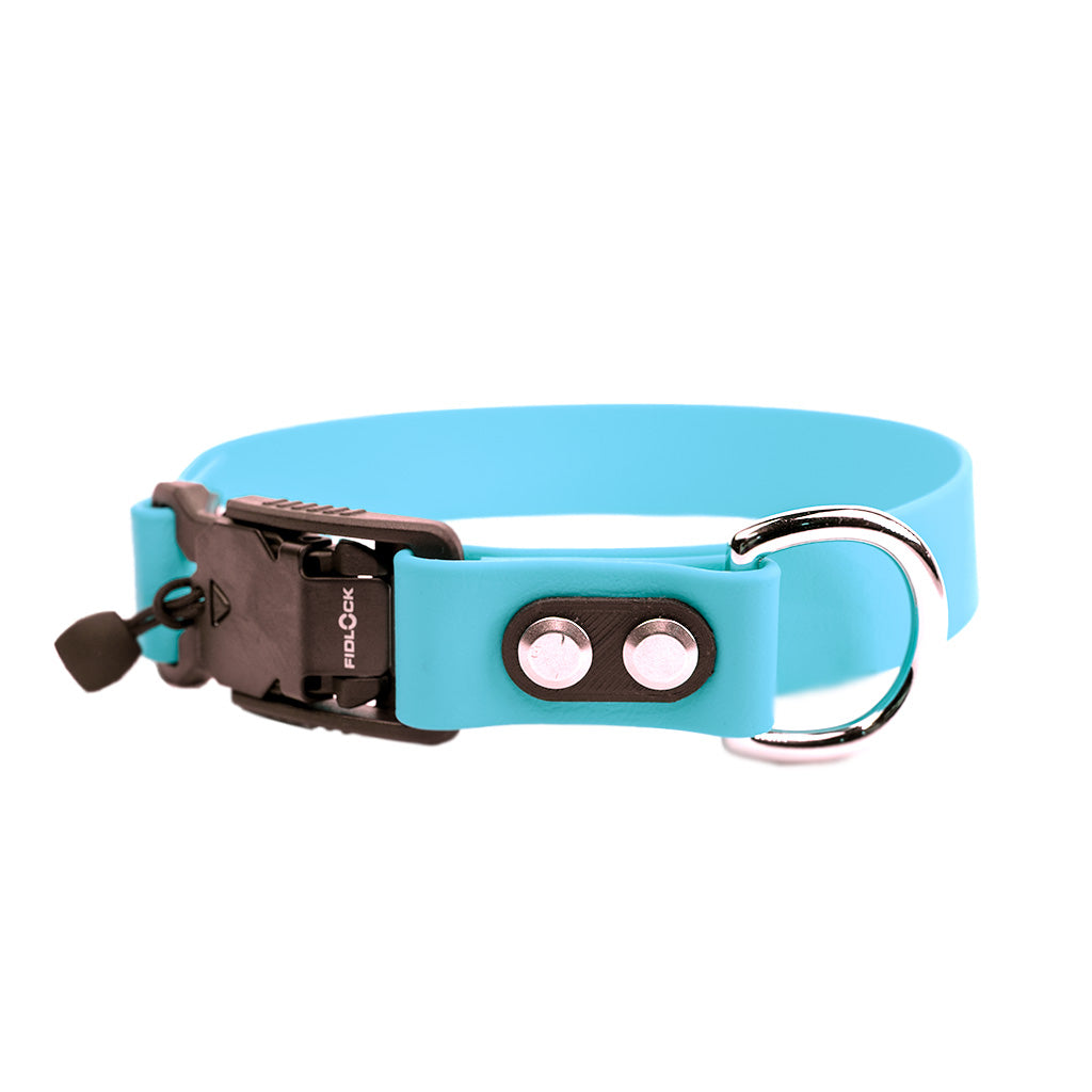 Sky Blue Classic Collar