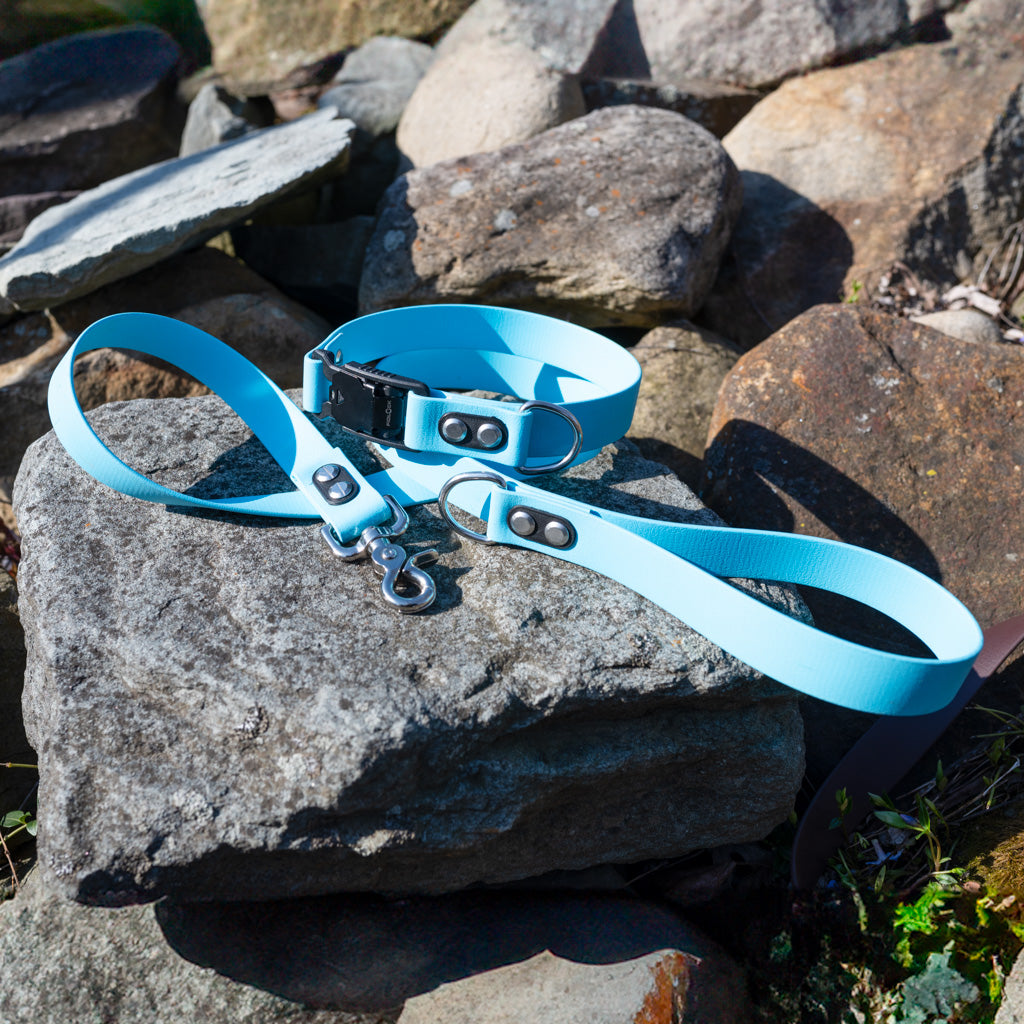 Sky Blue Classic Collar