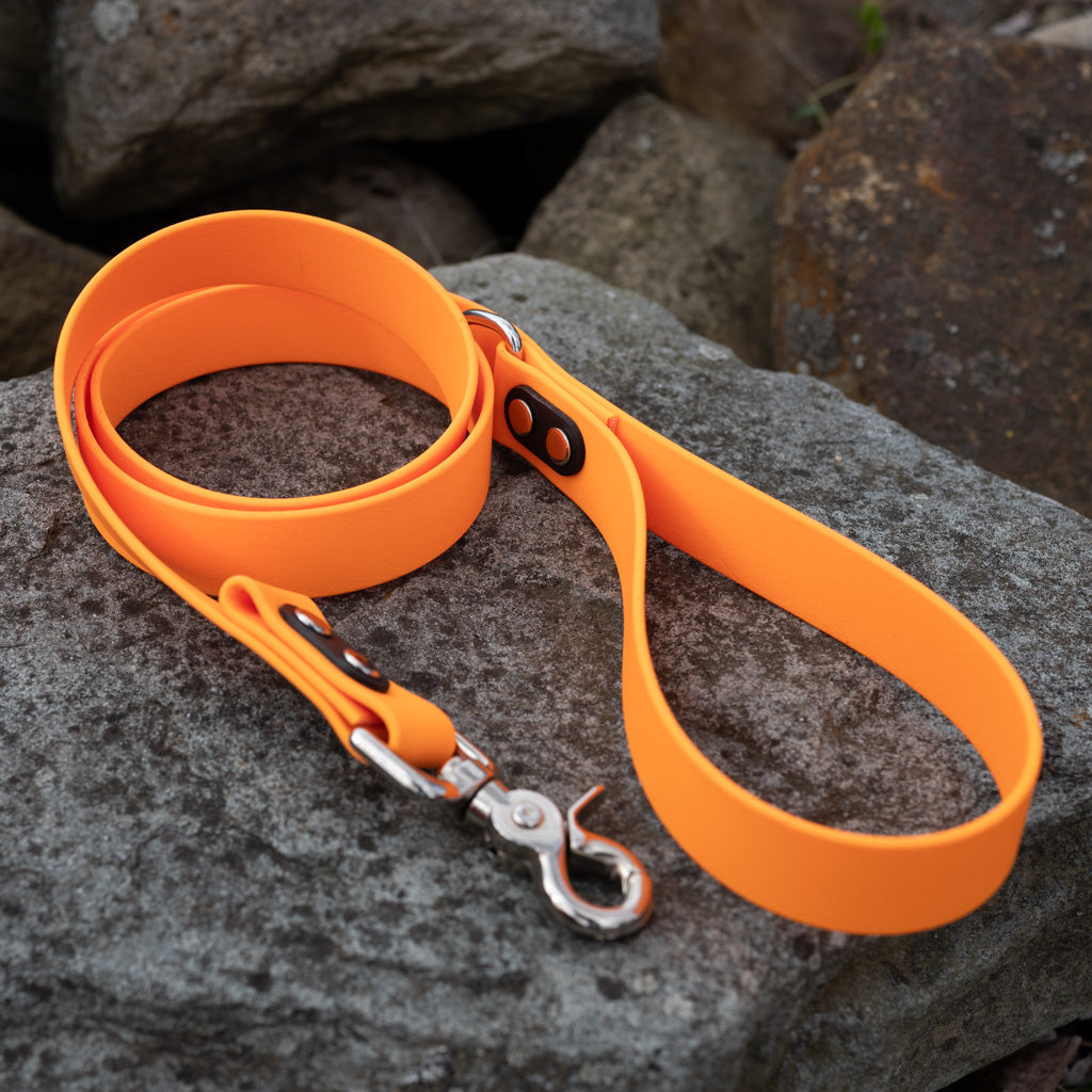 Tangerine Classic Leash