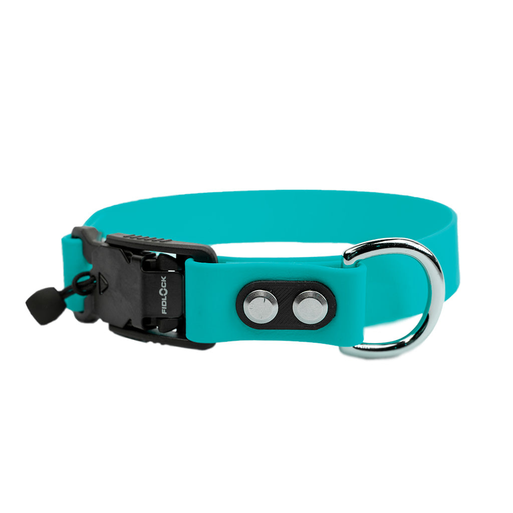 Teal Classic Collar