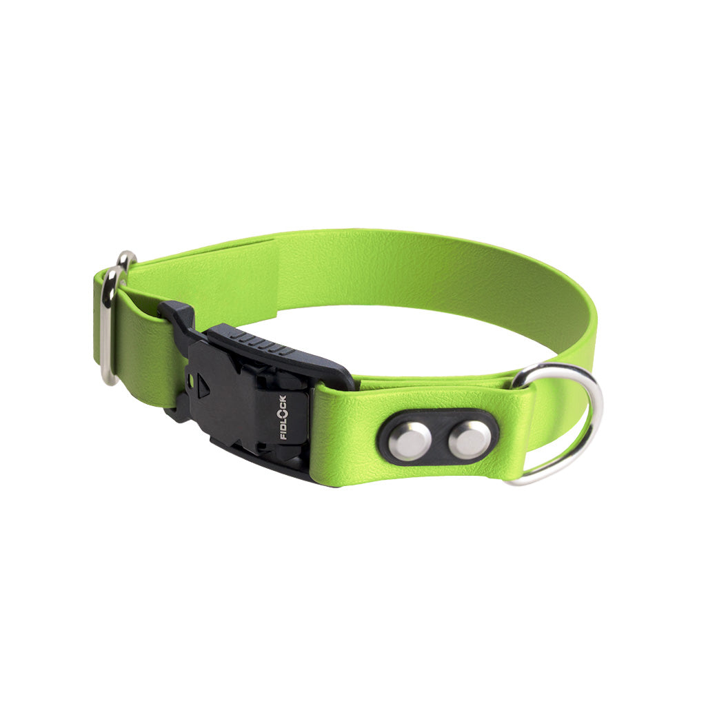 Lime Adjustable Collar
