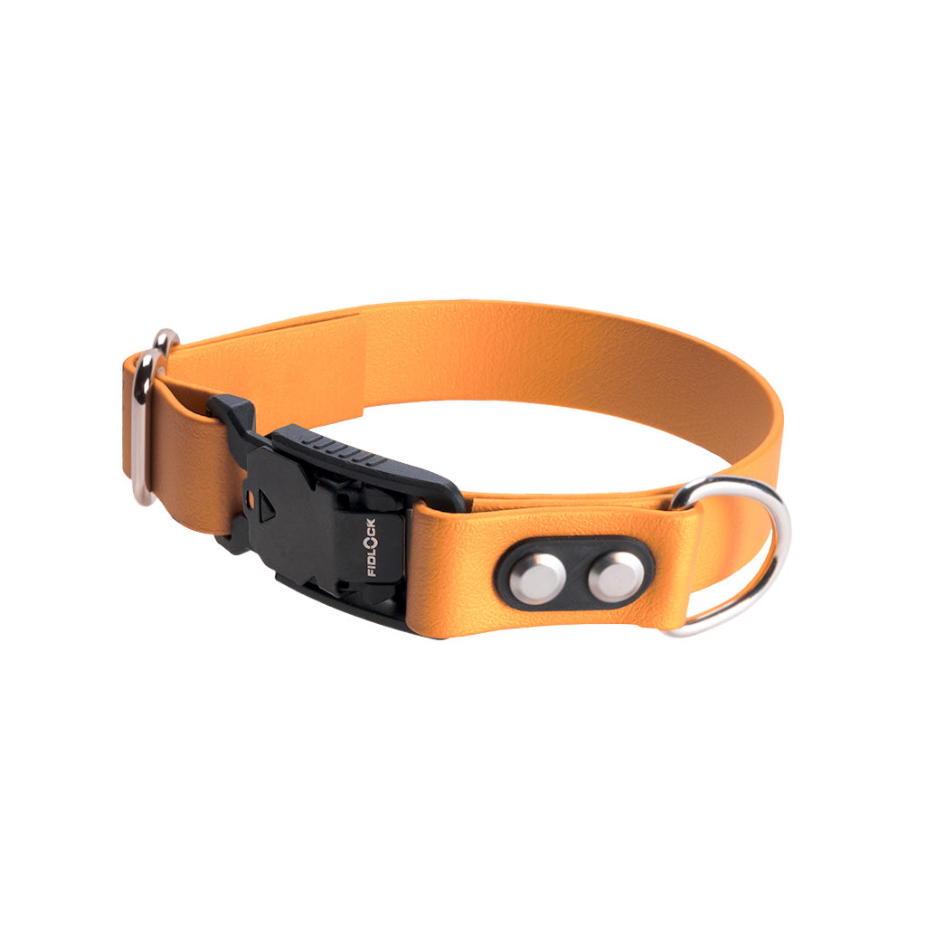 Tangerine Adjustable Collar