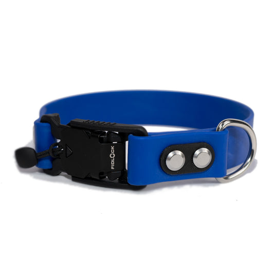 blue collar with quick release buckle and silver hardware made by darn.dog