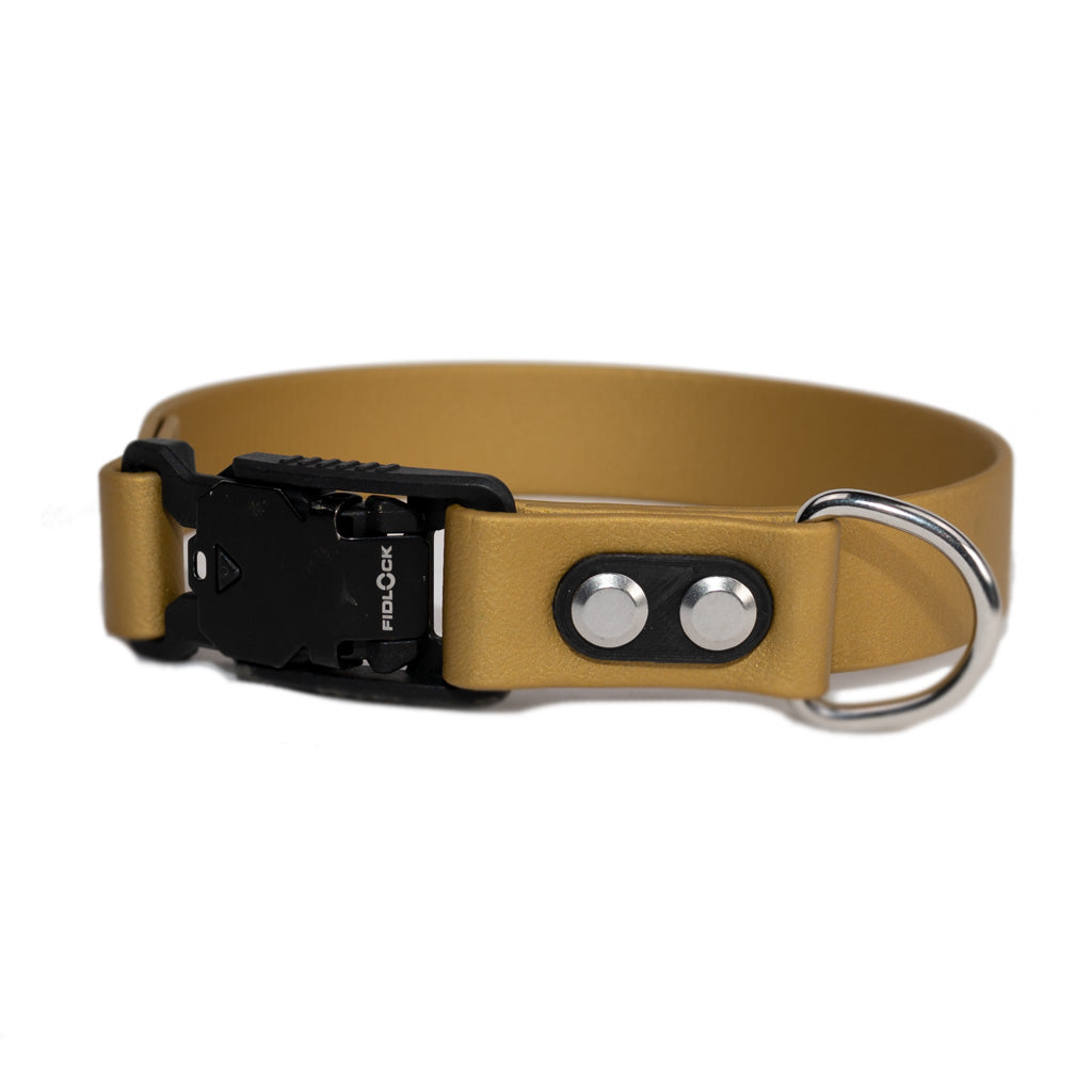 gold collar with quick release buckle and silver hardware made by darn.dog