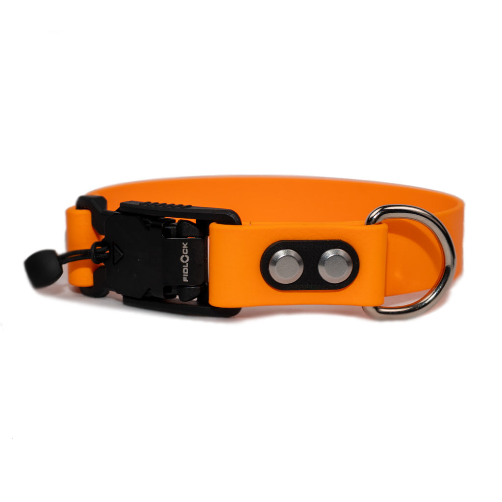tangerine collar with quick release buckle and silver hardware made by darn.dog