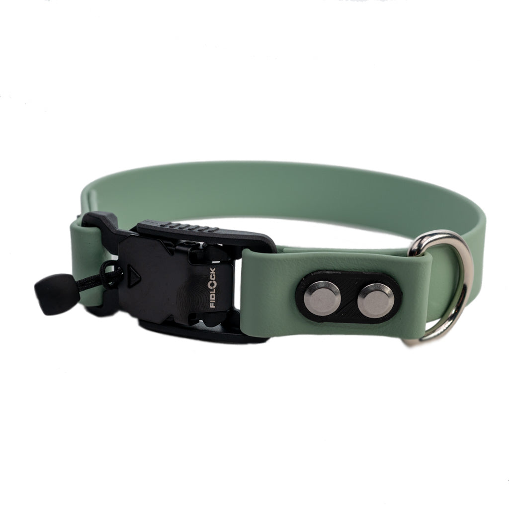 mint collar with quick release buckle and silver hardware made by darn.dog