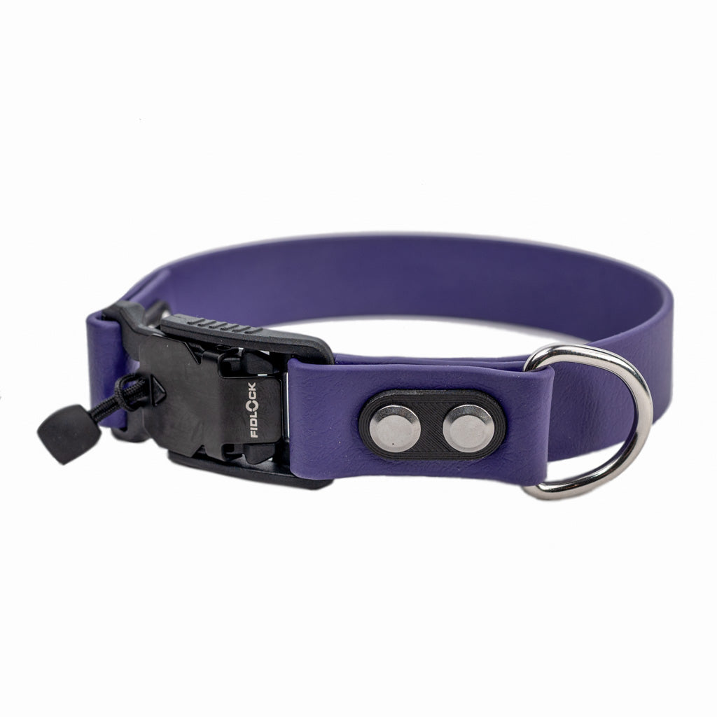 purple collar with quick release buckle and silver hardware made by darn.dog