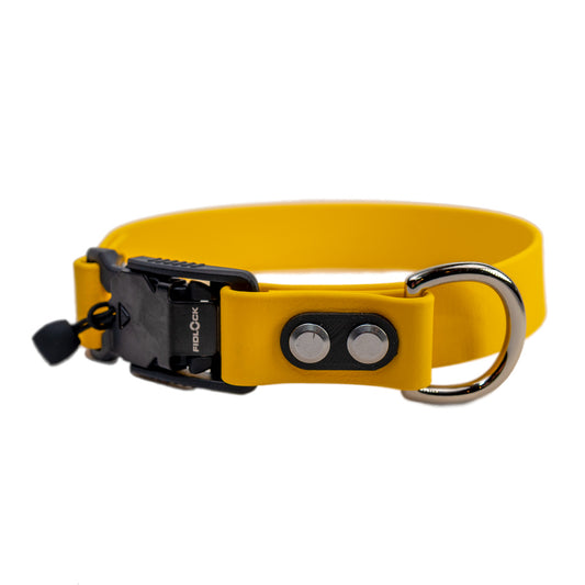 yellow collar with quick release buckle and silver hardware made by darn.dog